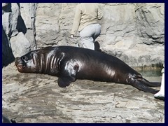 L'Oceanogràfic Oceanarium 125